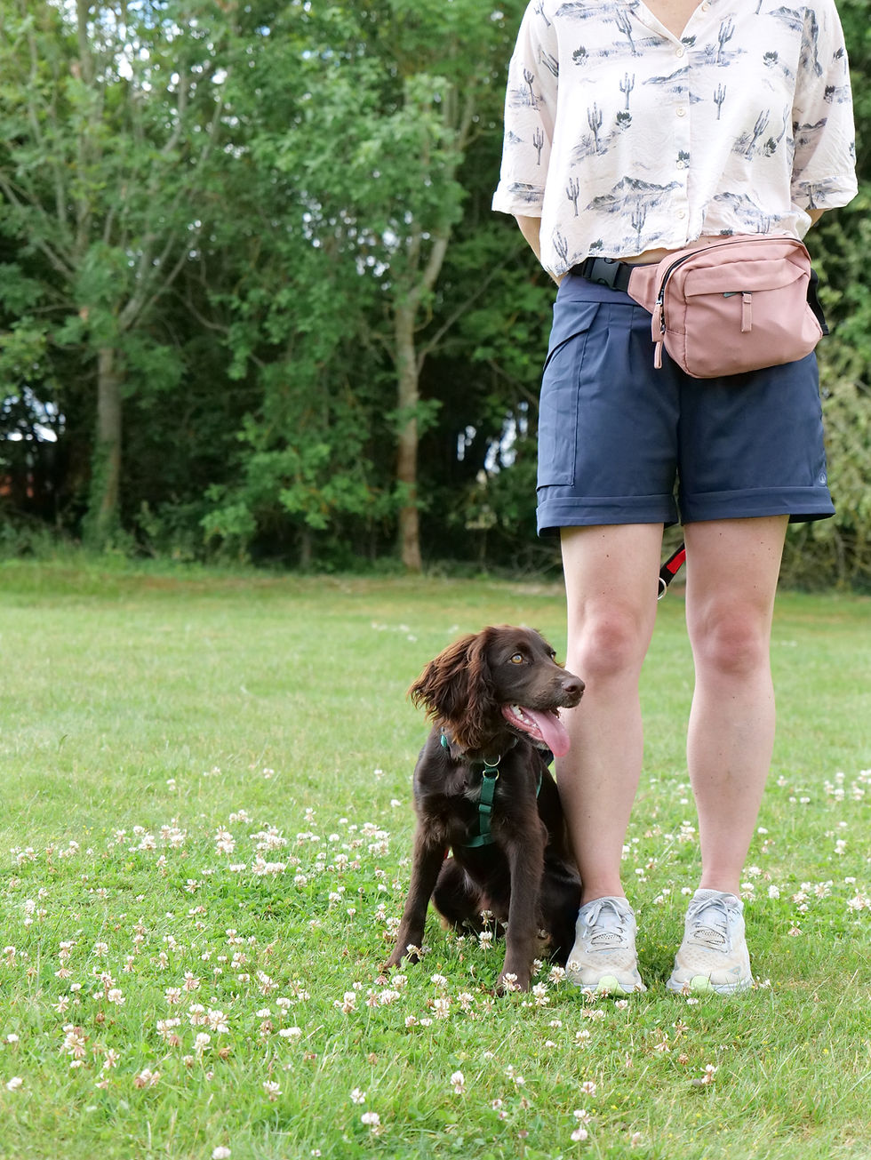 Dog sitting by a person's legs in a field for trainers.