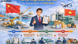 Thủ tục nhập khẩu máy móc từ Trung Quốc về Việt Nam