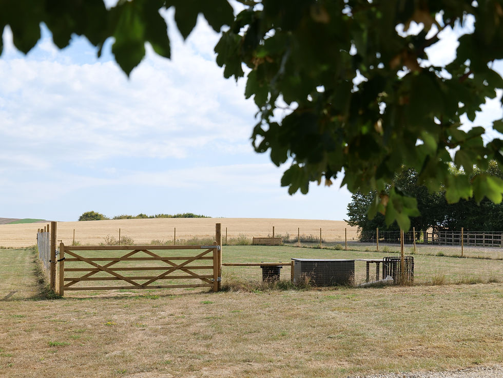 Secure Dog Training Paddock at Ewelme Dog Training Facilities in South Oxfordshire.