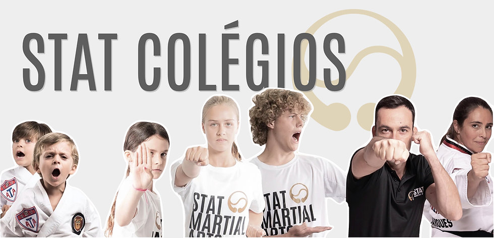 STAT Colégios.001.jpeg