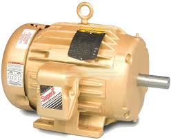 Reliance Electric Motor