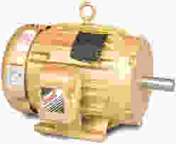 Reliance Electric Motor
