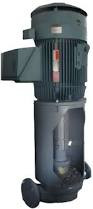 Flowserve HW Pump