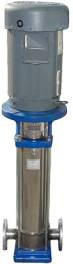 Goulds 3SV Pump