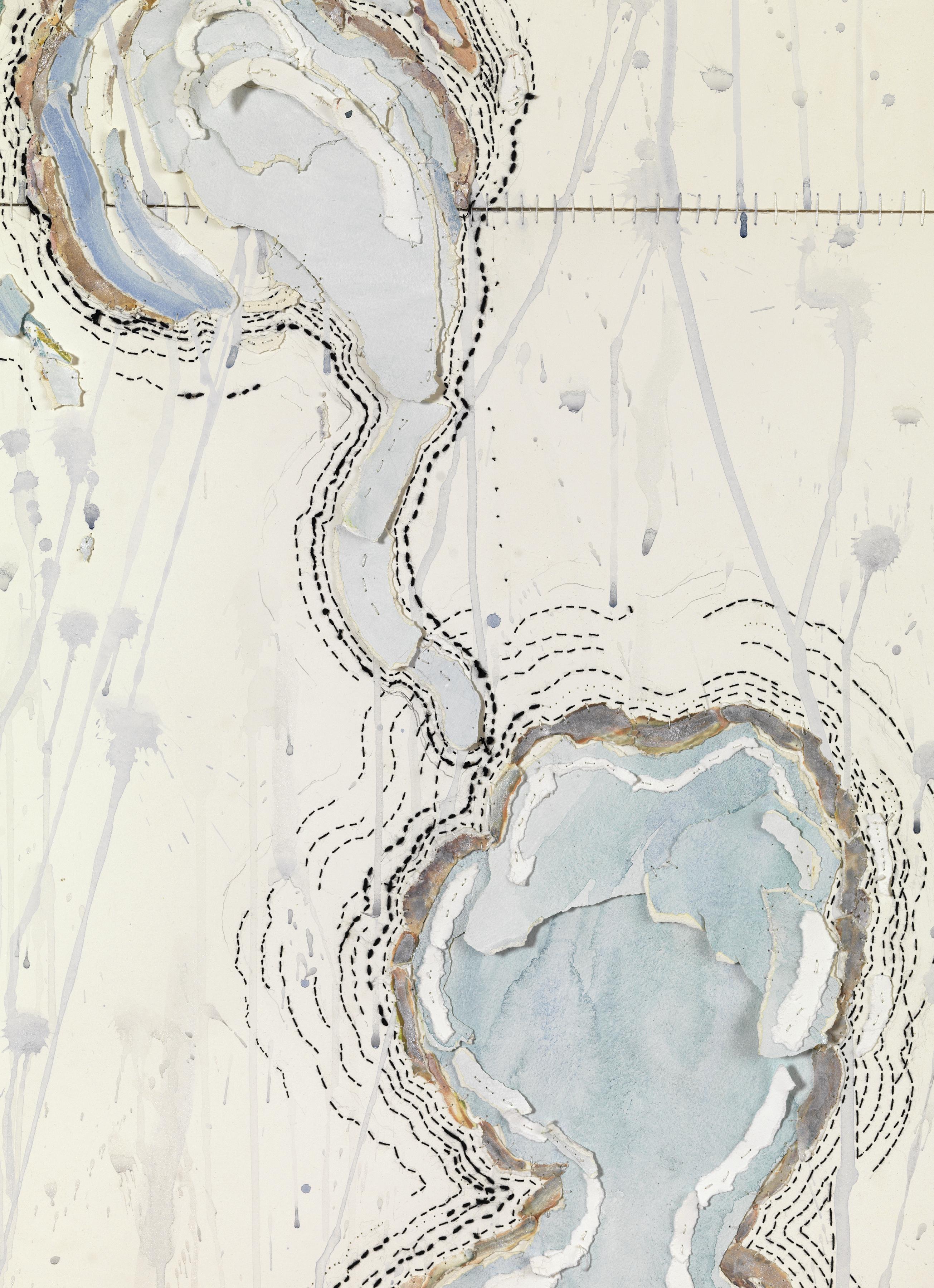 Proteanna Series #14 (detail), 2013