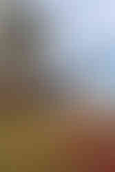 Sunset Navchak fjord