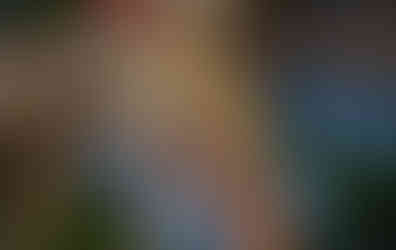 Jaguar Marcela, Porto Joffre