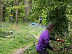 18319338_1084723808338068_7862054839093555273_o