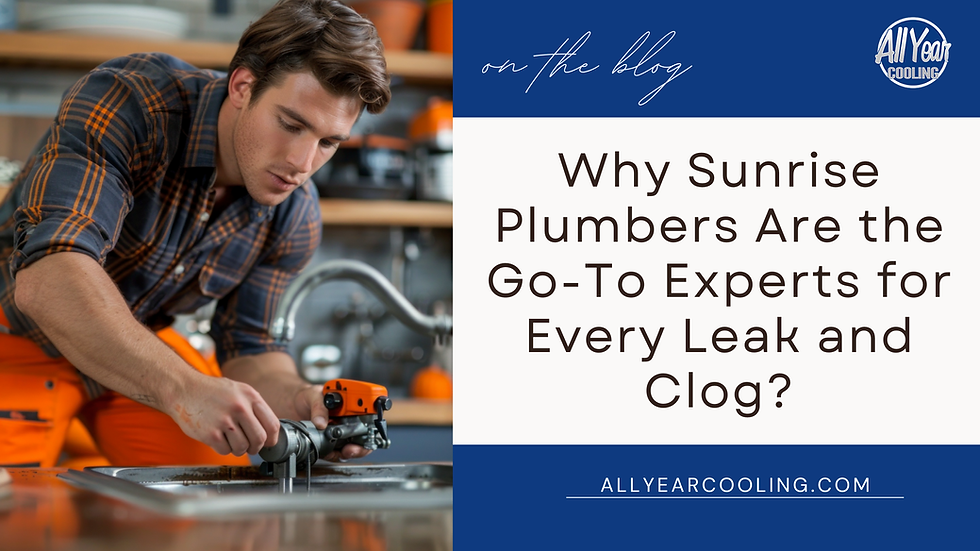 Why Sunrise Plumbers Are the Go-To Experts for Every Leak and Clog?