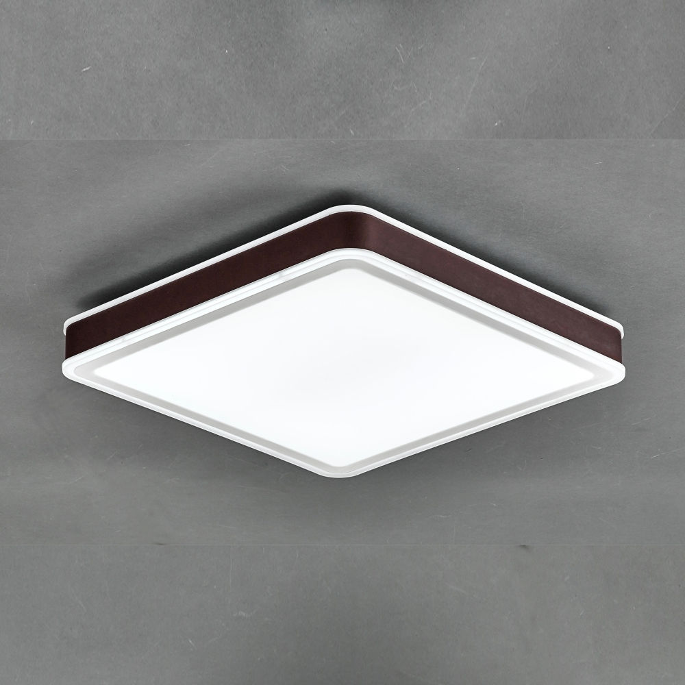 제우스 사각 방등