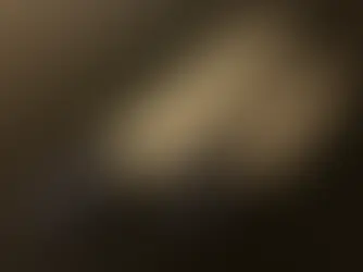 ステンレス牛刀