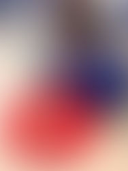 Chicks News - 8th November 2024