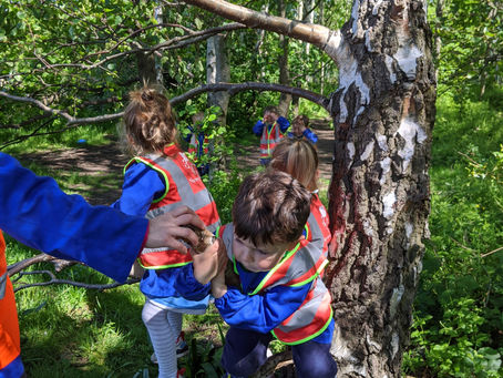 Chicks News - 28th May 2021