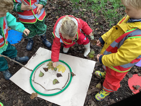 Fledglings News - 8th November 2024