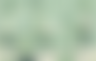 Green HRM Report 2025: Nachhaltigkeit im Personalwesen – Status Quo und Chancen