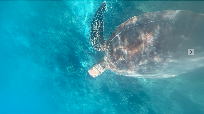 Bildschirmfoto 2026-02-27 um 09.05.54.png