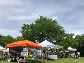 IMG_3350.jpeg