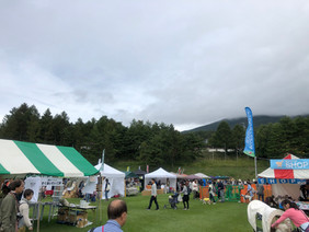 IMG_4528.jpeg