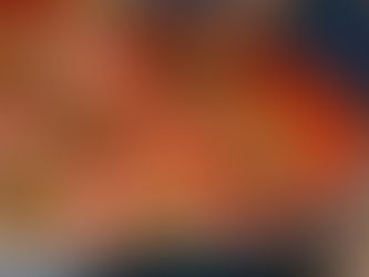 Boulettes (végétariennes) a la sauce tomate