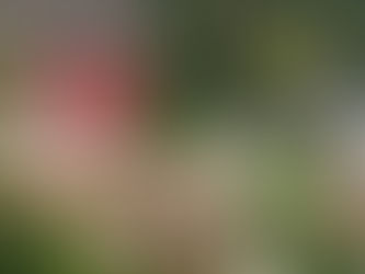 Å drive Villa Solsiden