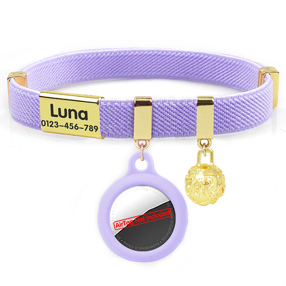 Thumbnail: Fashion AirTag Cat Collar with Bell and AirTag Holder Customized Name Tag Cute E