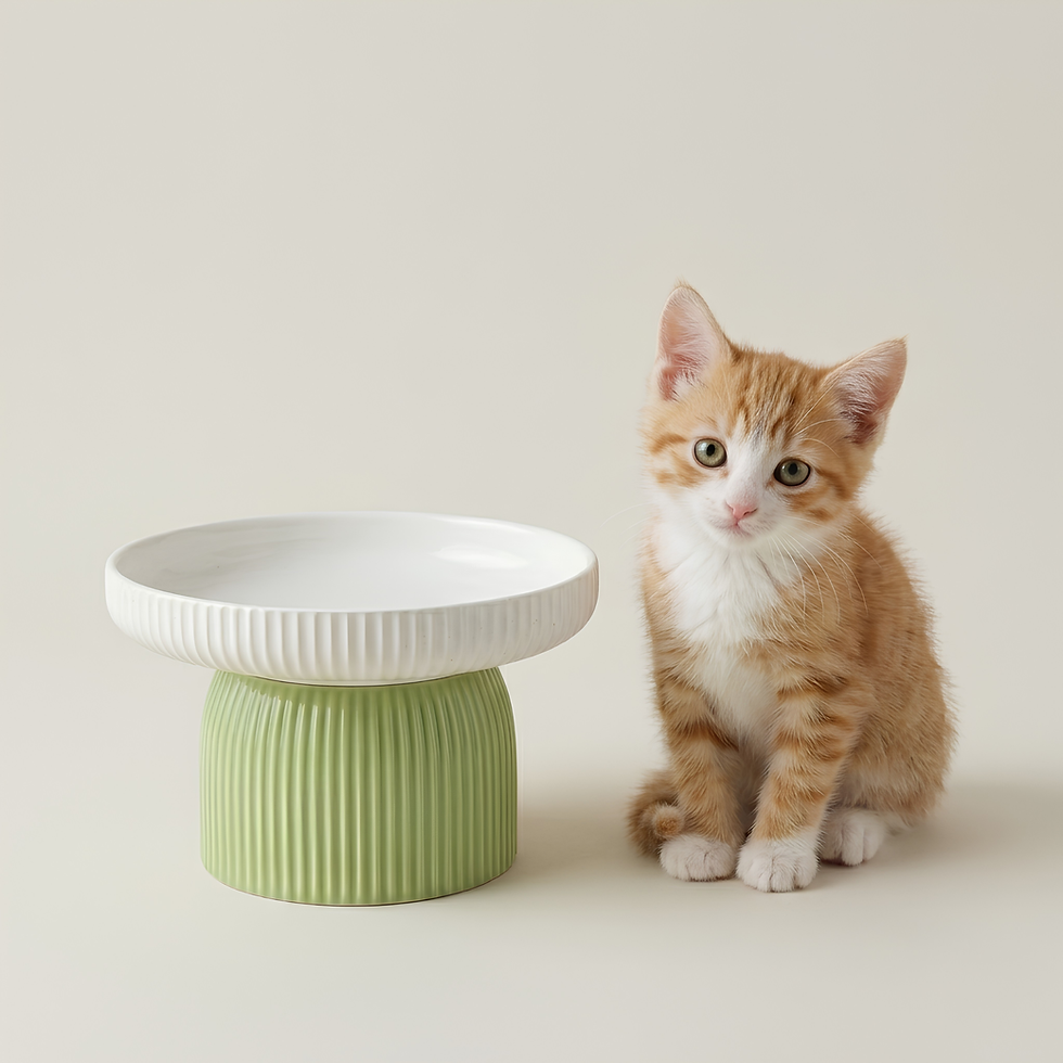 Thumbnail: Luna Pedestal Ceramic Bowl