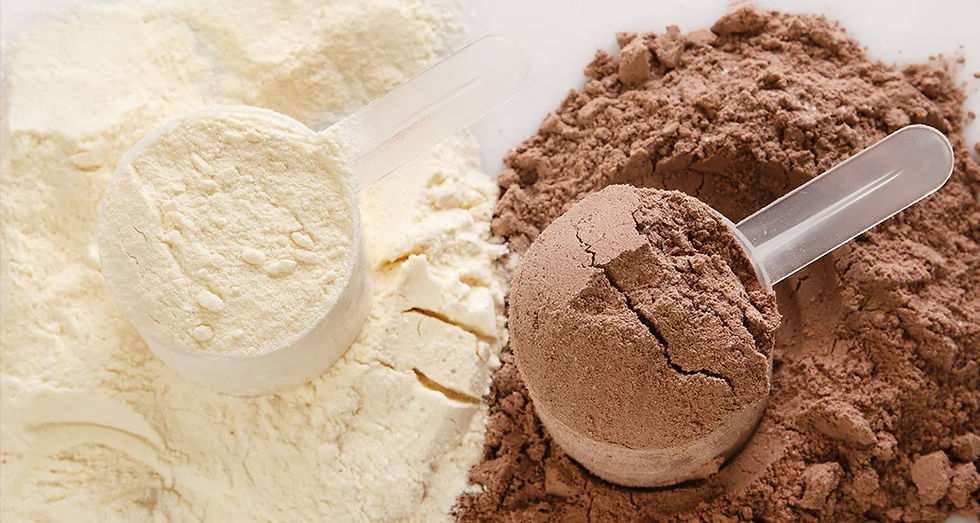 Protein powder - WPI or WPC?