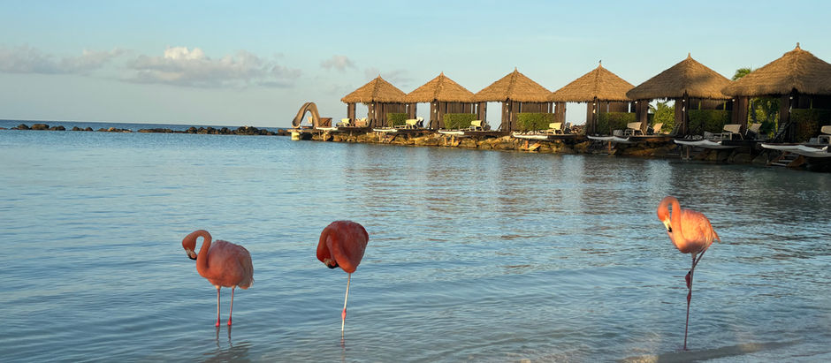 A Perfect Girls Trip and Family Vacation at Renaissance Wind Creek Aruba Resort