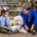 therapy dog child abuse