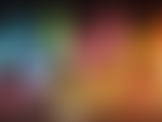 Community Support Services