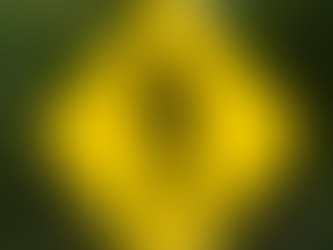 subtle signs of physical abuse