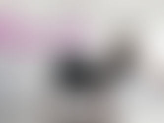 LOOKING FOR THE NEW 2024 AMBASSADOR