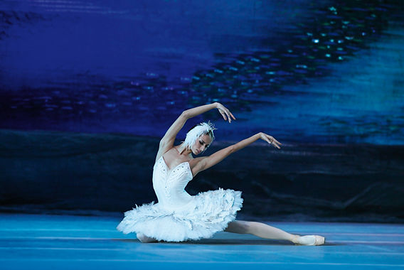 Le Lac Des Cygnes - Opéra National Du Rhin