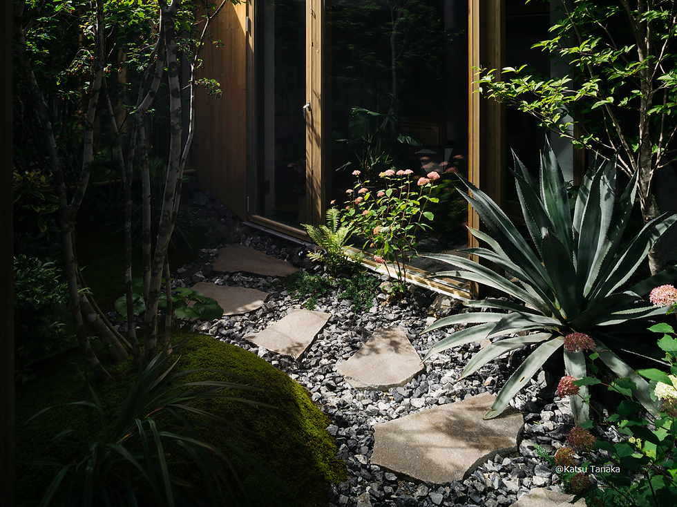 garden7__Katsu Tanaka cdedtito.png