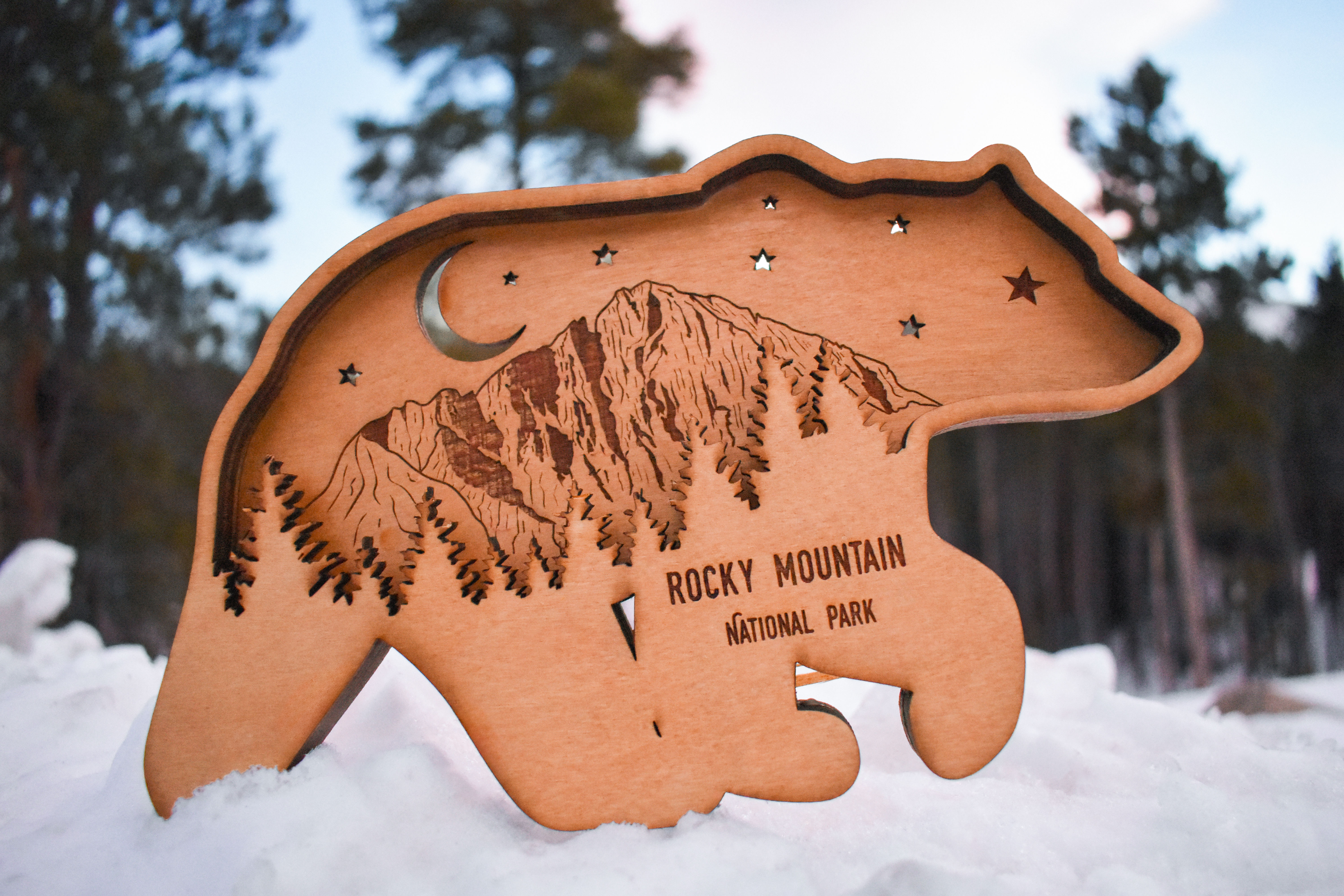 Bear Shadowbox - Longs Peak - Wholesale