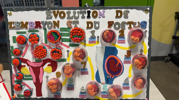 Élève de l'école JMC présentant son projet lors de l'exposition de sciences.