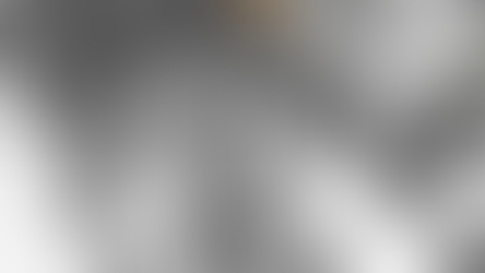 Revit pour plans d’atelier en bois lamellé-collé