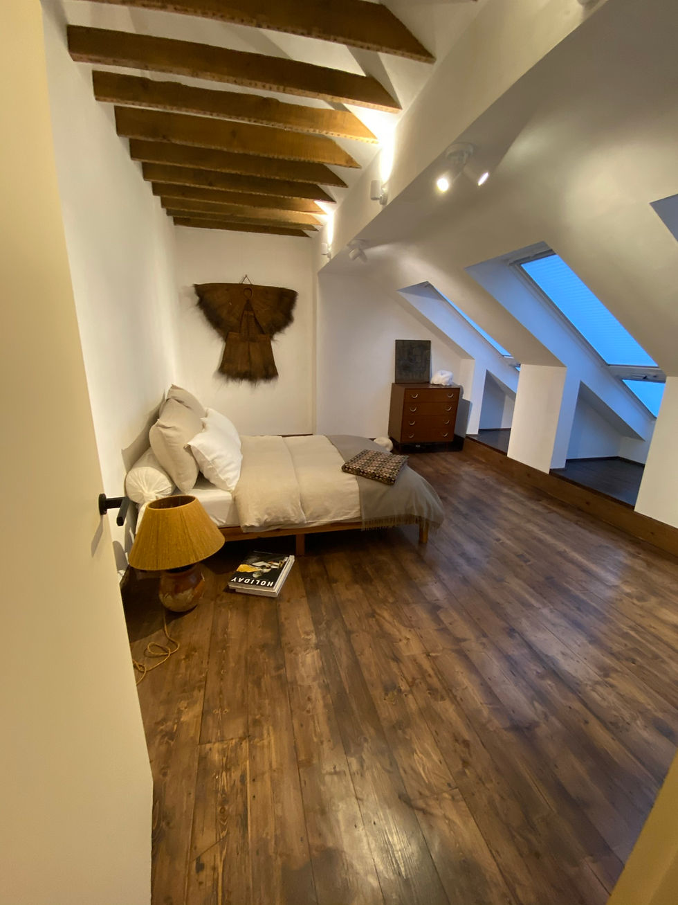 Modern loft bedroom with structural alterations and skylights