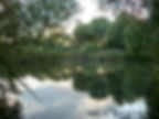 lake.jpg