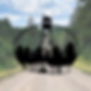 Gordon Pine Barrens 50