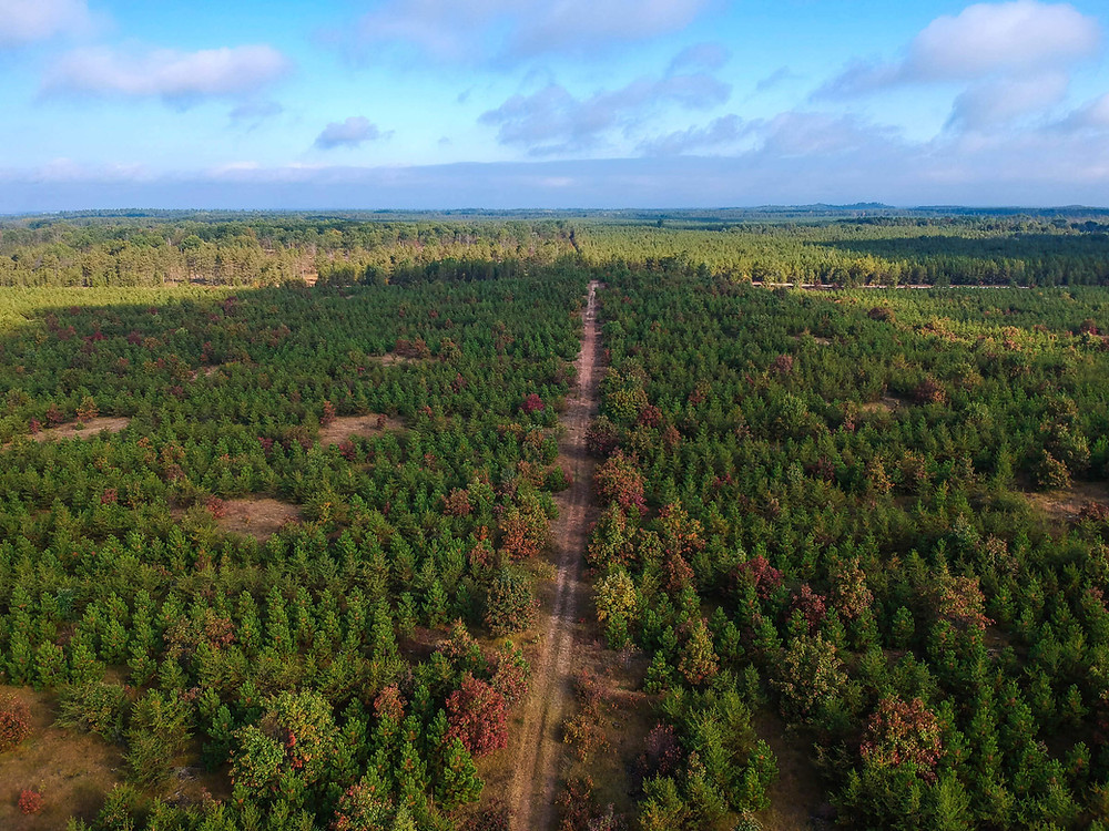 Wisconsin Waterfalls Bikepacking Route