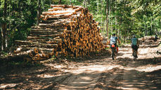 The 4 Best Northwood Adventure Destinations That Still Lack an Official Bikepacking Route