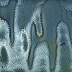 electrique8.jpg