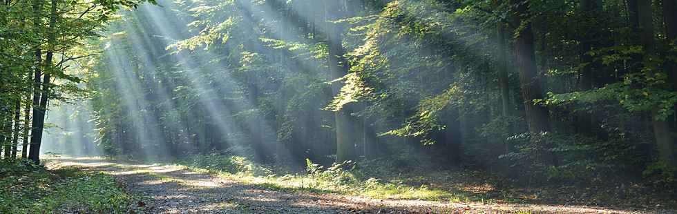 Schreibseminare & Writing Retreats