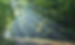 Wald