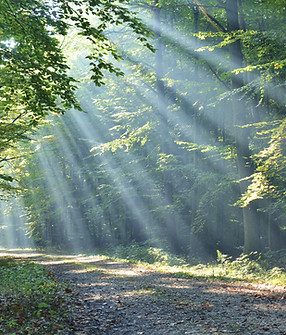 pierre-chatel-innocenti-Lk-nu_hX6ms-unsplash 2.png