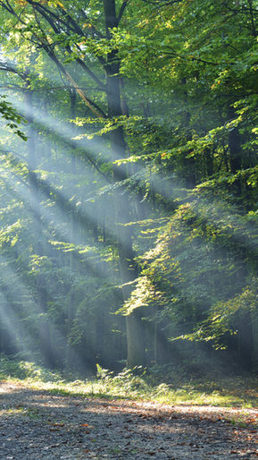 O maior arrependimento de pacientes em hospitais