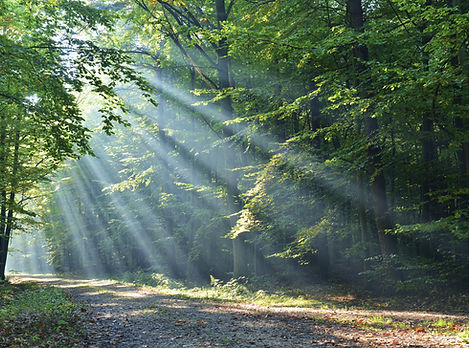 Streams of enlightenment