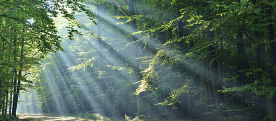 From Chaos to Clarity—How Data Creates Certainty for Credit Unions