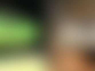 Mambas: Battle of the Black and Green